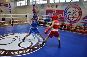 II Открытый Всероссийский юношеский турнир по боксу