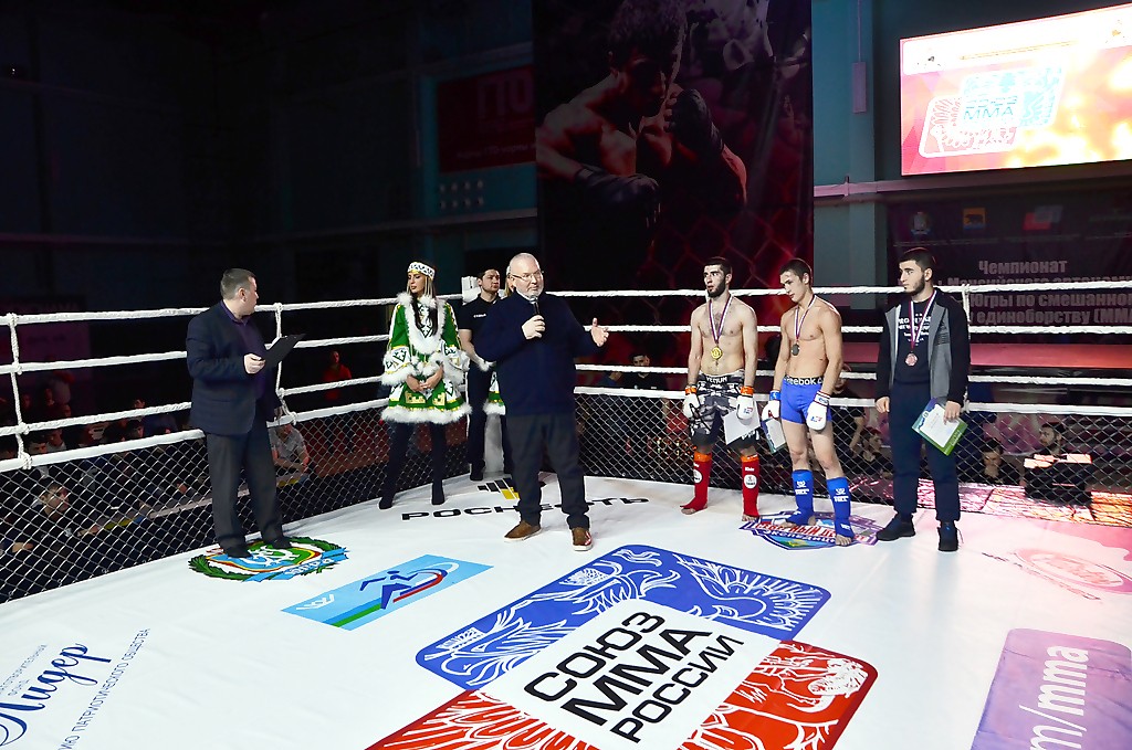 MMA, Владимир Семенов, спорт, бои