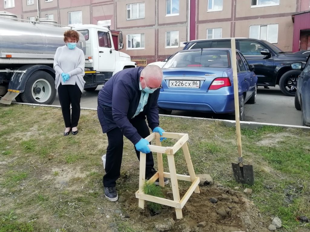 Владимир Семенов, Галина Лапковская, кедры, Пойково, экология