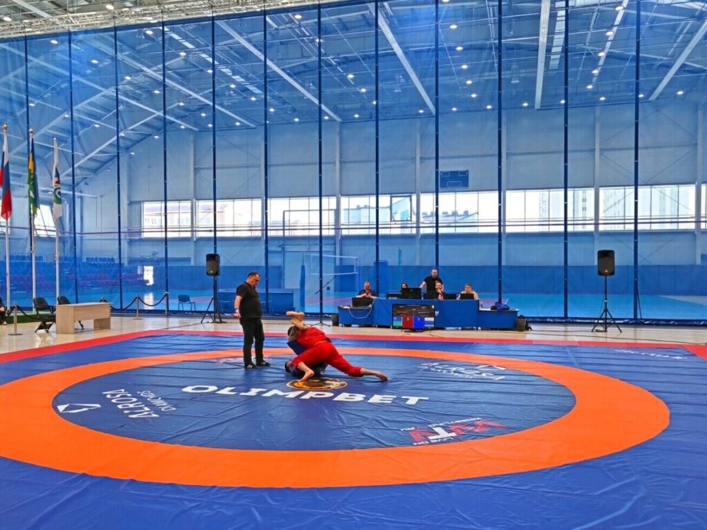 грэпплинг, ковёр, спорт, борьба