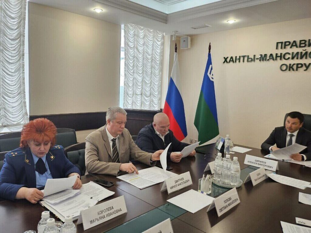 Марьяна Королева, Кирилл Дмитриев, Владимир Семенов, Алексей Шипилов, законопроектная комиссия
