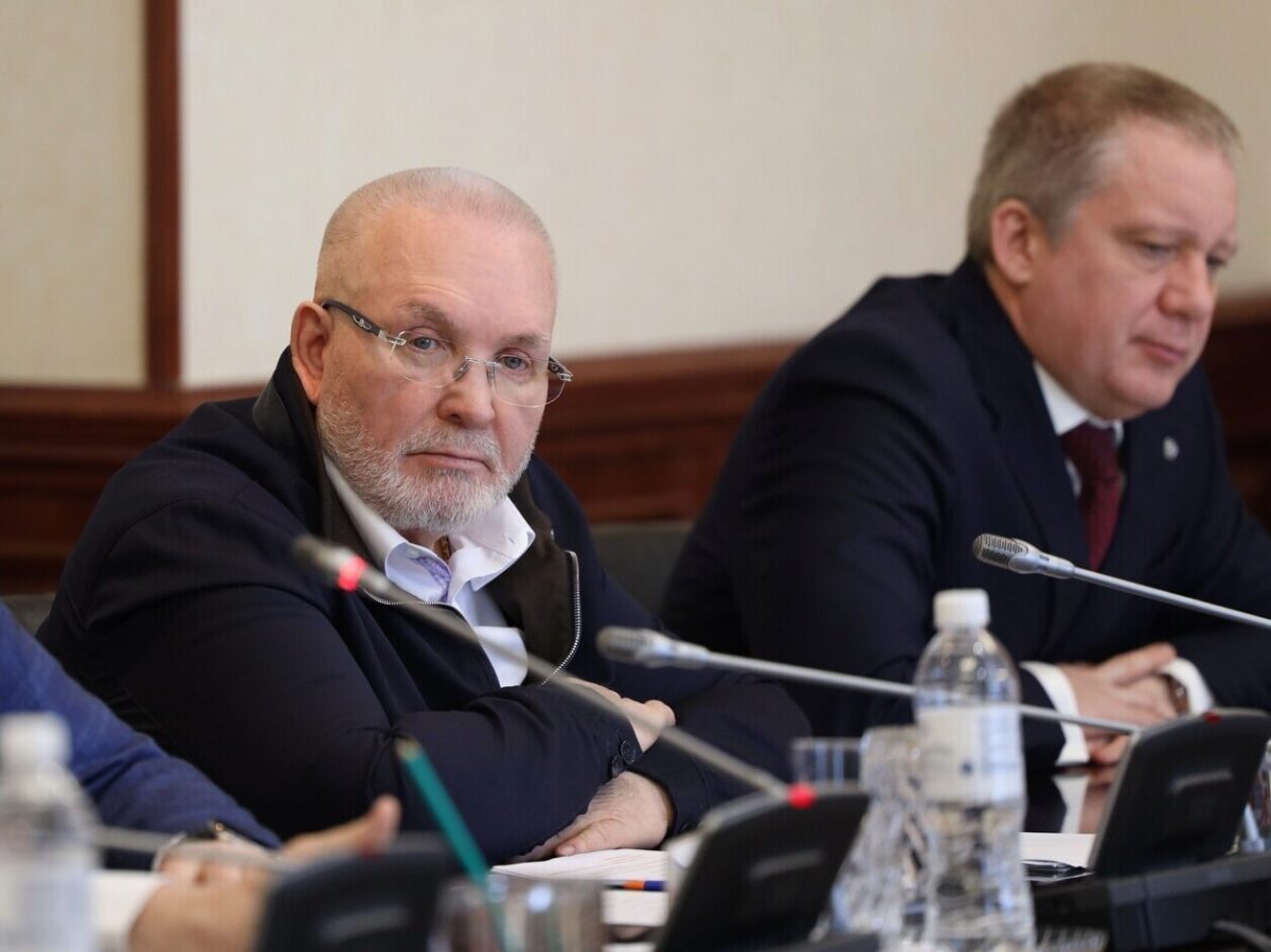 Владимир Семенов, Кирилл Дмитриев, дума, комитет, комиссия
