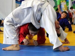 спорт, вольная борьба, дзюдо, самбо, мастер-класс, выбор сильных