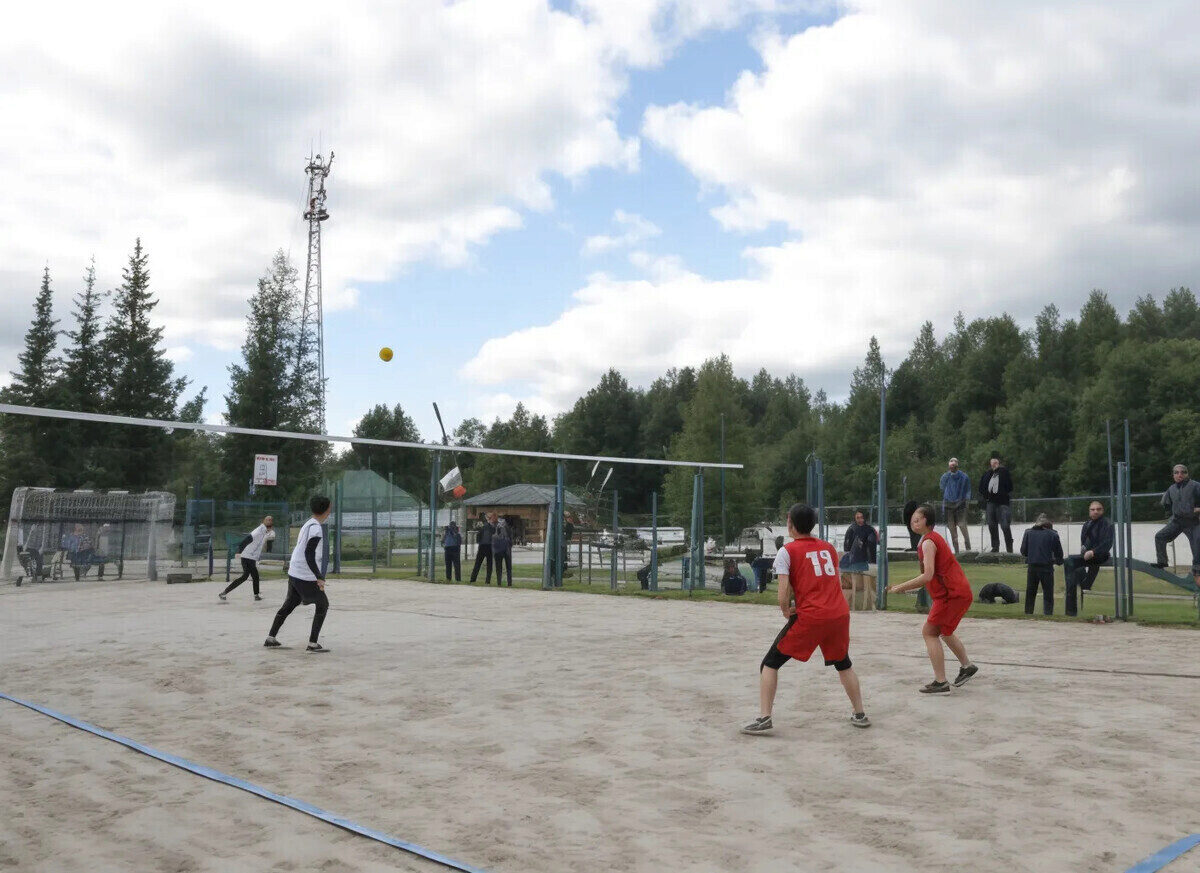спорт, волейбол