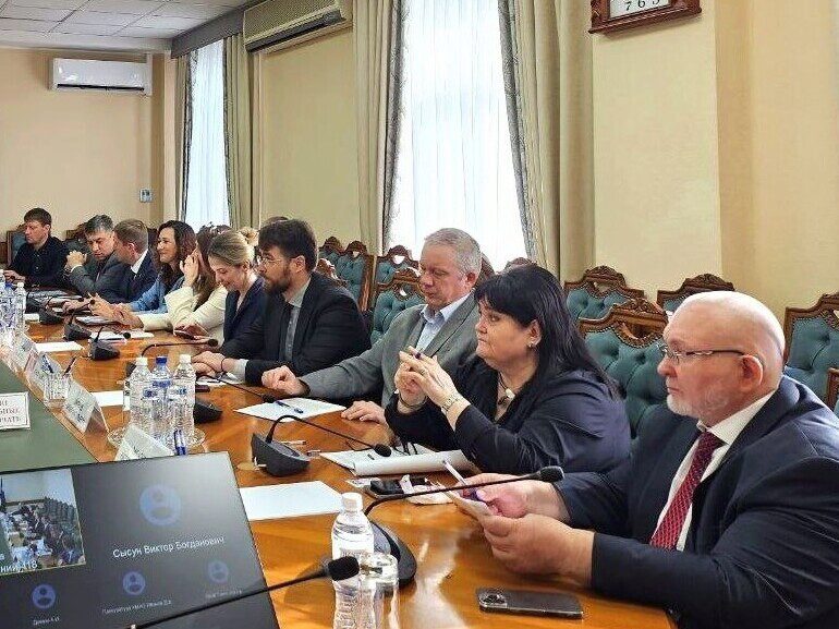 Кирилл Дмитриев, Наталья Западнова, Владимир Семенов, законопроектная комиссия