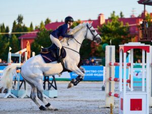 конный спорт, конкур, мустанг, кубок губернатора
