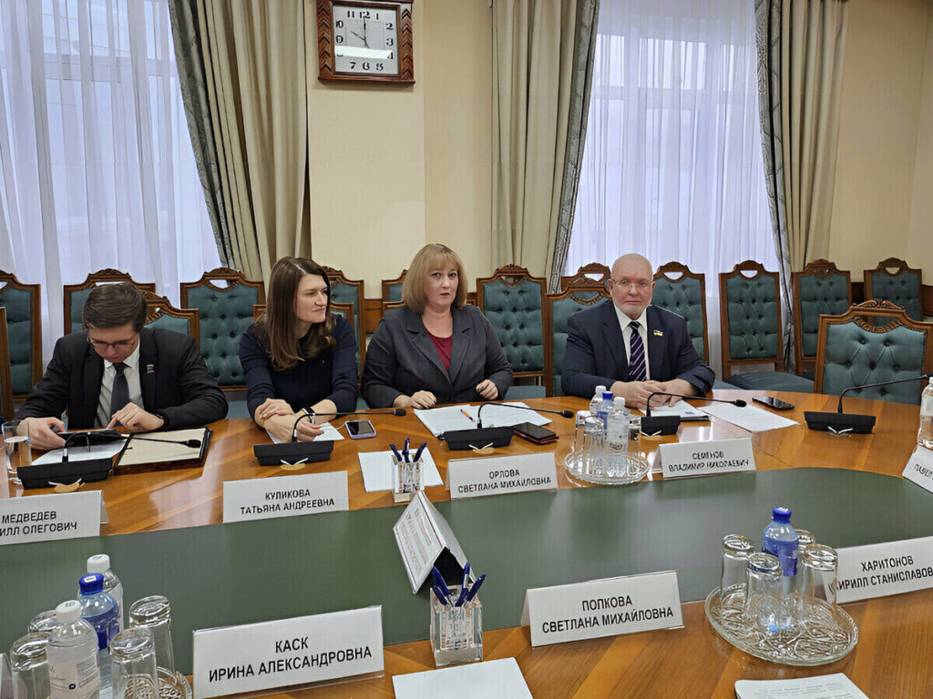 Владимир Семенов, Кирилл Медведев, Светлана Орлова, законопроектная комиссия
