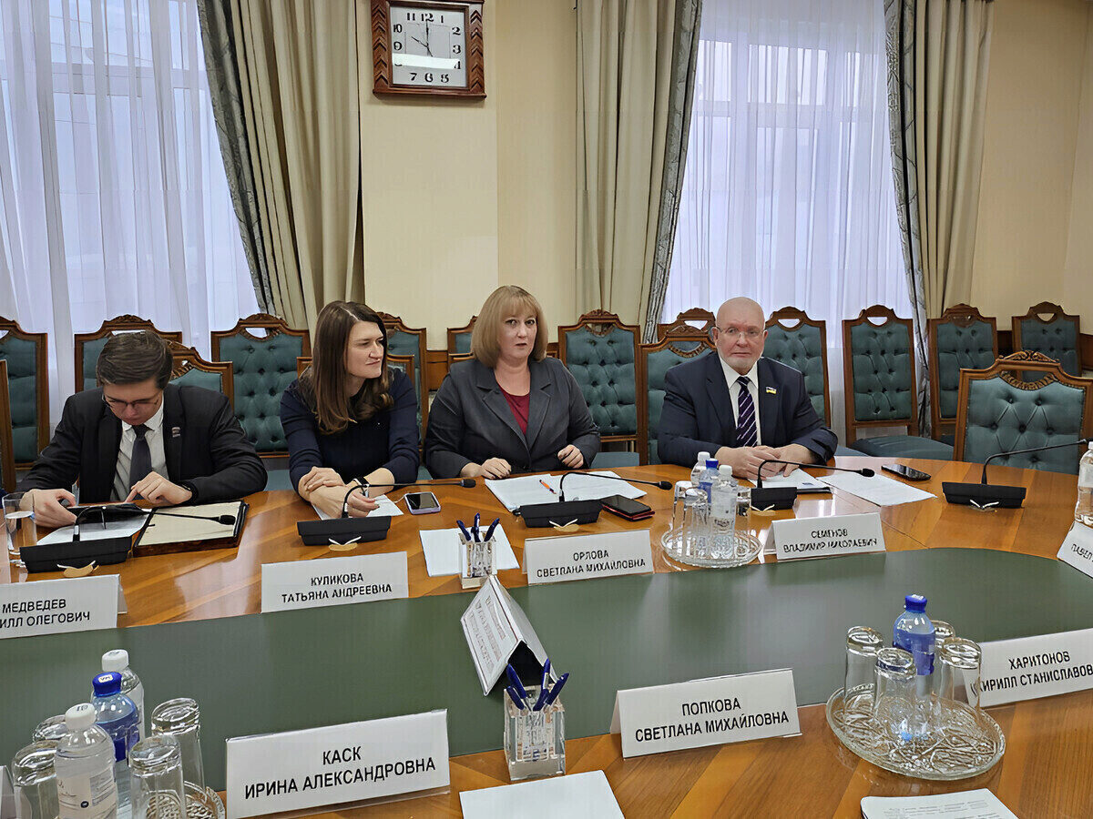 Владимир Семенов, Кирилл Медведев, Светлана Орлова, законопроектная комиссия