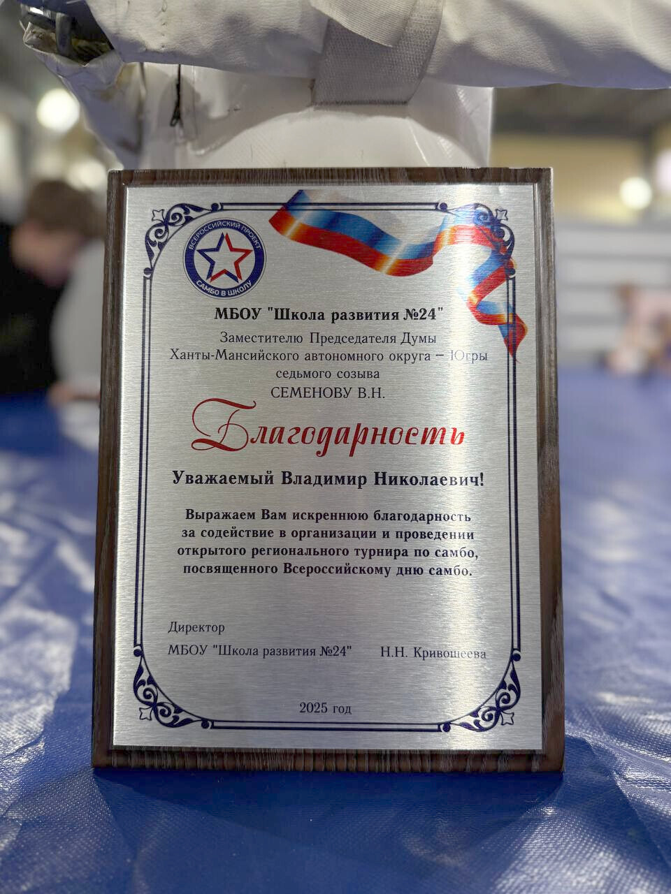 самбо, проект "Выбор сильных"