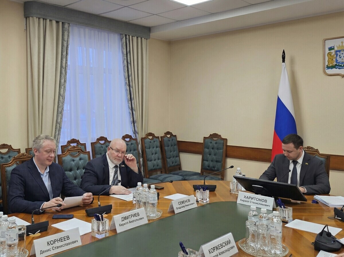 Кирилл Дмитриев, Владимир Семенов, законопроектная комиссия, Кирилл Харитонов