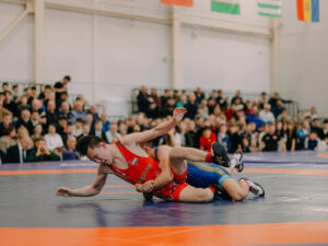 XX Международный турнир по вольной борьбе на кубок Владимира Семенова